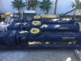 Seepex BN 52-6L Positive Displacement Pumps